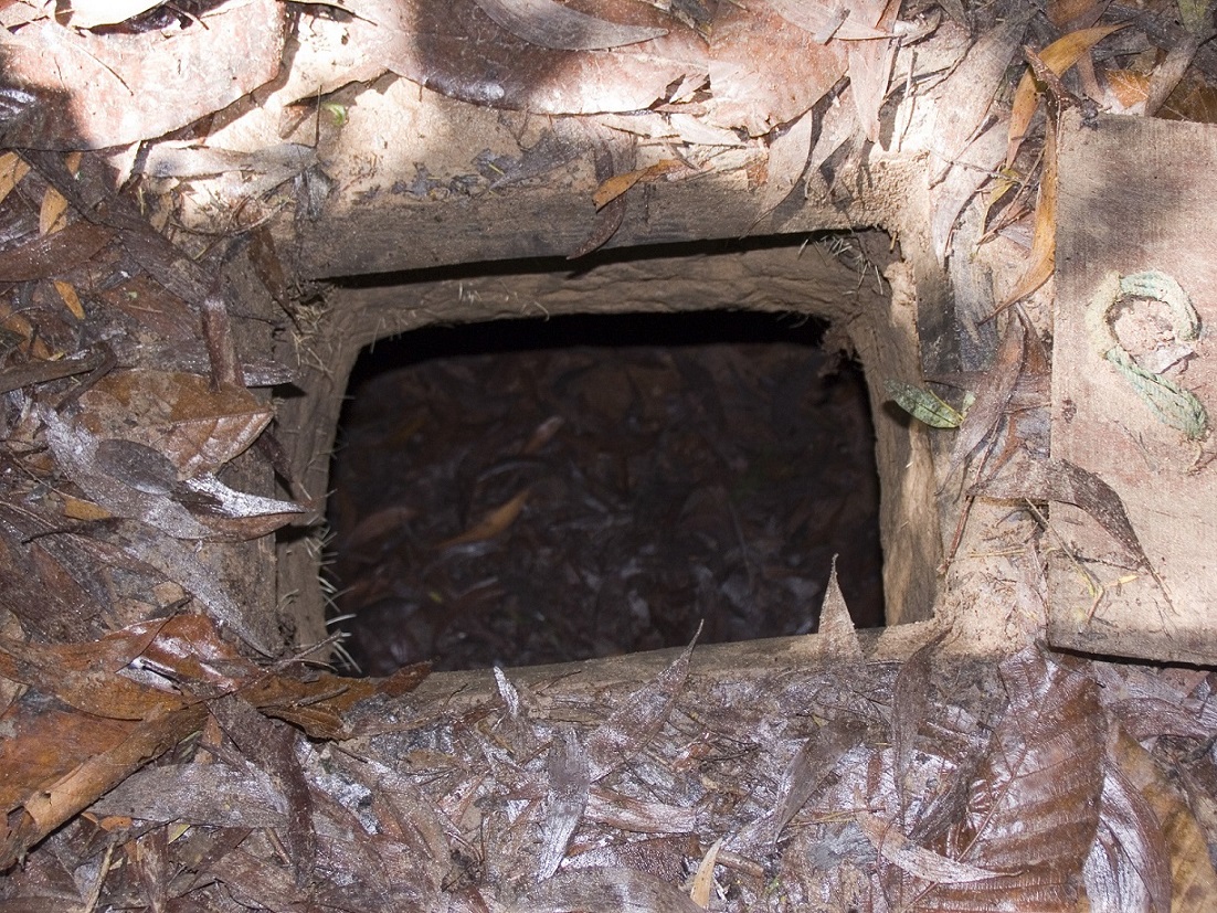 Aperture che conducevano alla rete sotterranea dei tunnels, consolidate da muratura